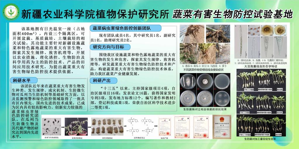 新疆农业科学院植物保护研究所蔬菜有害生物防治试验基地-宣传版面 新疆农业科学院植物保护研究所蔬菜有害生物防治试验基地-宣传版面