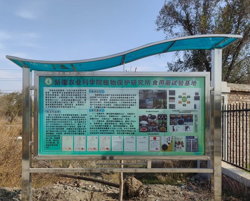 新疆农科院植保所安宁渠食用菌试验基地挂牌