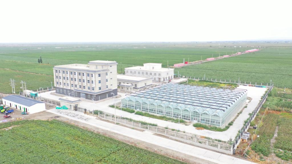 国家植物保护库尔勒观测实验站航拍图